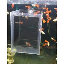 구피 부화통 격리통 치어통 열대어 안시 걸이식 지존, 큐방식