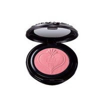 일본직발송 6. ANNA SUI(안나스이) 안나 수이 수이 블랙 파우더 브러쉬 301 (6G) B07TW8P135, One Size