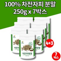 100% 인도산 차전자피 차 과립 질경이 차 씨앗 데일리 식이섬유 섬유질 화이버 자전차피 차전자 가루 분말 파우더, 7박스, 7개