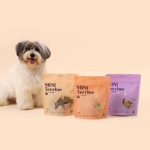 반려소반 바른식사 미니테린 300g (소 닭 오리), 오리