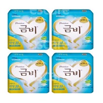 금비 성인용 겉기저귀 실버 대형, 10개입, 4개