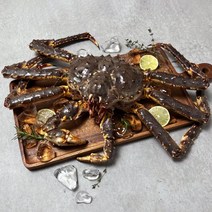 은하수산 살아서 도착하는 레드 활 킹크랩 2.8-3.0kg, 단품