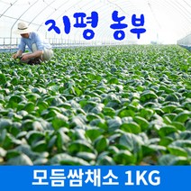 [물맑은 양평] 지평 농부 모듬쌈채소(1kg), 1개