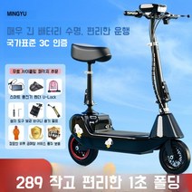 기함급전동킥보드 듀얼 로드 고성능 고스펙 전동스쿠터, 표준 브러시드 24v 레드 40~50마일