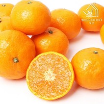 [웰굿] 당도선별 제주 카라향 2kg(25-35과 소과 15brix이상)