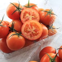 고당도 스테비아 완숙 미니 토마토 설탕토마토 산지직송 1kg, 스테비아 완숙토마토 1kg, 1개