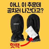 겨울 골프 핫팩 벙어리 장갑 방한 용품, 남성용, 블랙