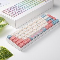 핑크 블루 써커스 XDA 키캡