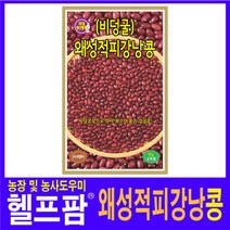 헬프팜 왜성적피강낭콩 30g 씨앗 종자 KS종묘