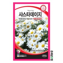 샤스타데이지 2000립 / 꽃씨 화단 꽃밭 정원 샤스타데이지씨앗 데이지씨앗 데이지씨