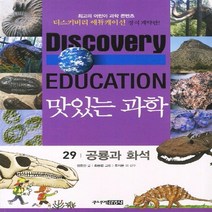 주니어김영사 새책-스테이책터 [맛있는 과학 29 : 공룡과 화석] -디스커버리 에듀케이션 (Discovery Education), 맛있는 과학 29 : 공룡과 화석, NSB9788934954781