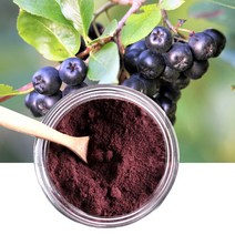 블랙초코베리 아로니아 가루 분말, 1. 블랙초코베리 분말 500g
