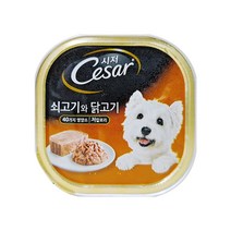시저 반려견 주식캔, 소+닭, 100g, 14개