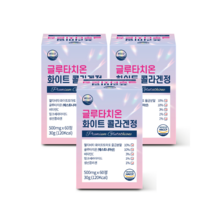 웰리즈 먹는 글루타치온 화이트 콜라겐정 500mg X 60정, 4개