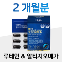 내눈애 알티지 오메가3 내눈에 rTG 오메가쓰리 루테인 누테인 비타민A 비타민E 체내 흡수율 고순도 중금속 멸치 정어리 혈행개선 건조한 눈 건강 항산화 어두운곳 시각적응 건강식품, 2박스, 1200mg x 30캡슐 (하루 1캡슐)