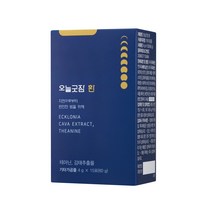 팜엔탑 오늘굿잠환 4g x 15포, 상세페이지 참조, 상세페이지 참조