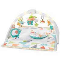 피셔프라이스 사파리 뮤직앤라이트 플레이 짐 아기체육관 매트 Fisher-Price Safari Music & Lights Gym