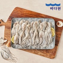 [바다원] 서해안 제철 급냉 세척 쭈꾸미 250g 3-5미 x2팩, 단품