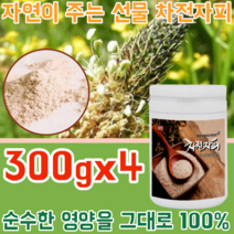 인도산 자연 그대로 원물 질경이 씨앗 추출물 차전자피 처잔자피 100% 깨끗하고 안전한 식이섬유 가루 파우더 분말 물에 타 먹는 주부 남편 여성 여자 성인 병 타입 파는곳 추천, 4