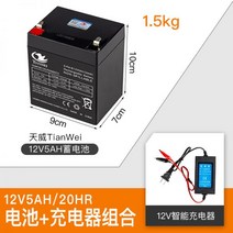 12V4.5A12V8AH12V7AHV1.3V2.6a12V12AH 납산 배터리 분무기 12v 볼트, 12V5ah(1.5kg) + 클립 충전기