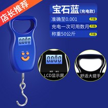고정밀 휴대용 전자 저울 해외여행 수하물 무게 측정, 5 블루  충전식 50kg + USB 충전 케이블