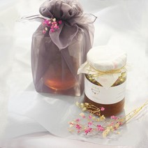 샌치한언니 수제청, 500ml, 1개