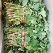 맛있는 농장 호박고구마 모종 20kg, 5월 24일 도착