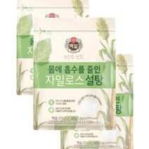 CJ 우리집 백설 하얀 자일로스 설탕 단맛 식자재 1kg 3개 1세트