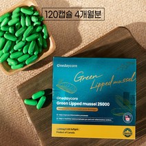 1+1 캐나다 초록잎홍합 오일 추출 25000 120정, 2개