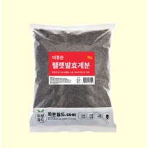 [갈치5지가격] [자연맛남] 제주직송 갈치 특 5미 20토막 (1미당300g-400g)