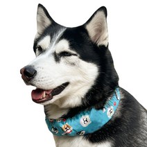 멍장군 강아지 애견 여름 쿨 아이스 스카프, M(10kg~25kg), 시바시바, M (10~25kg)
