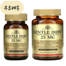 솔가 철분제 젠틀 아이언 25mg 90개입 [미국 직배송] 1. 철분 90정, 1개, 90개