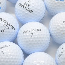 빅야드 화이트 A 등급 10알 골프시즌 골프공로스트볼