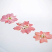락스퍼 12송이 압화 압화공예, 아이보리