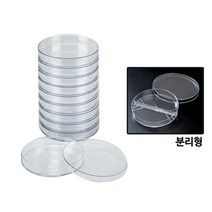 중등 과학교구 페트리디쉬(플라스틱-샬레 분리형) 키트준비물 수업용
