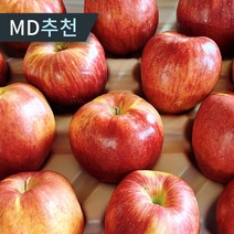 [당일수확발송] 부사 홍로 빨간사과 고당도 가정용 꿀 사과, 1개, 4.5kg 중과(18-19과)