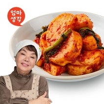 김수미 김치 엄마생각 동치미 4kg, 단품