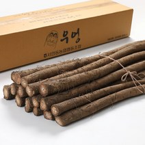 국내산 우엉 2kg 서안동농협, 우엉 대상 2kg