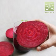 2022년 유기농 햇 레드비트 5kg / 10kg, 유기농 레드비트 10kg, 1개