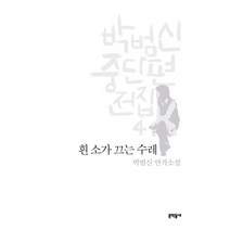 박범신 중단편전집 4: 흰 소가 끄는 수레:박범신 연작소설, 문학동네