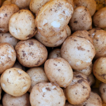 해남다애네농장 햇수미감자, 1박스