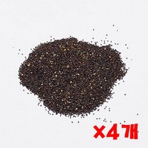 펫모닝 캣닙 씨앗 2g 4개 캣닢씨앗 캣닙키우기 고양이, 1