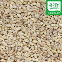 국산 유기농 통밀쌀 1kg 통밀