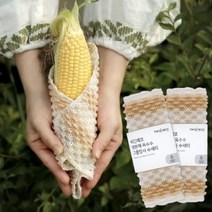 비긴에코 생분해 옥수수 PLA 수세미 1매, 옵션선택