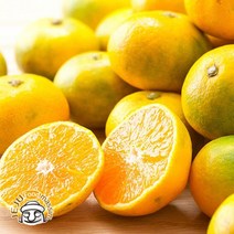 서귀포 하례마을 못난이 하우스감귤 3kg (혼합과 실중량), 단품