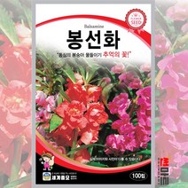 봉선화 100립 / 봉숭아 일년생 꽃씨 꽃 씨앗 mix garden balsam seed, 1개