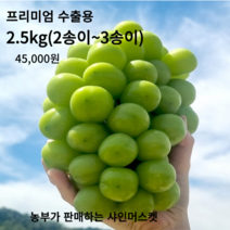 [산지 직송]GAP 인증_경북 김천 샤인머스켓_수출용 백화점 납품용 망고포도 특등급 샤인머스켓, 1개, 수출용 특2.5kg(2송이~3송이)