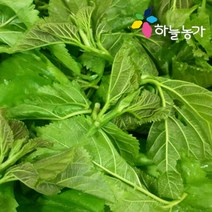 하늘농가 순수국산 뽕잎 50gX3팩 나물선물세트, 상세 설명 참조