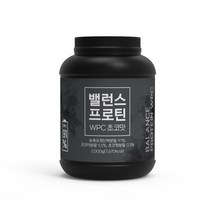 힐스랩 밸런스 프로틴 WPC 초코맛 2kg, 1개