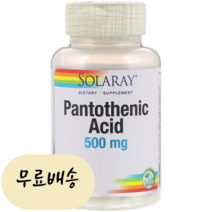 솔라리 판토텐산 500mg 100정, 1개, 100개